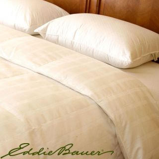 Eddie Bauer 370 Thread Count Jumbo size PrimaLoft Pillows (Set of 2