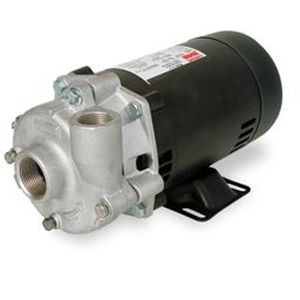 Dayton 4TE63 Centrifugal Pump, 3/4 HP, 3 Phase, ODP
