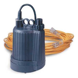 Dqe, Inc. HM1060 Water Pump, Electric, 110 V