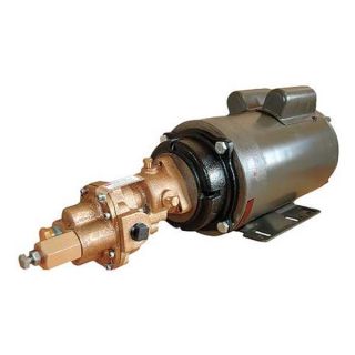 Dayton 4KHD6 Rotary Gear Pump, Bronze, 1 1/2 HP, 3 Ph